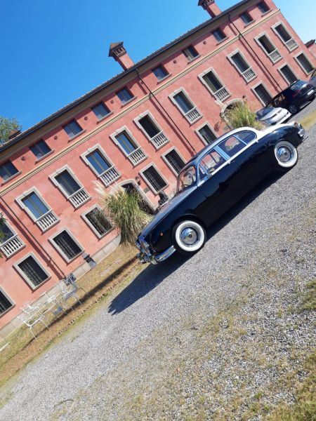 Daimler 2.5 Litre V8 1966