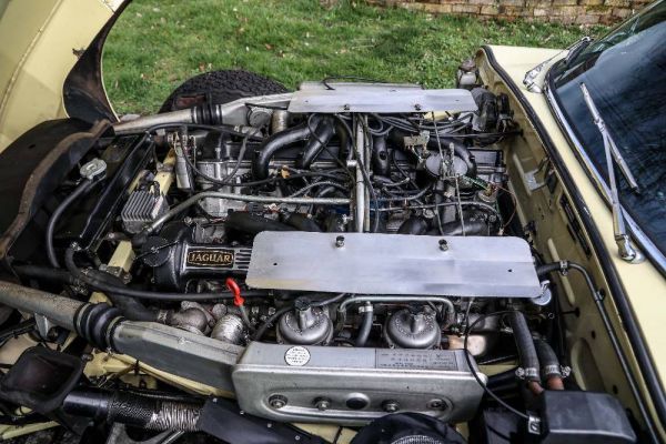 Jaguar E-Type V12 (2+2) 1973 66005