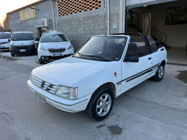 Peugeot 205 CJ 1993 137120