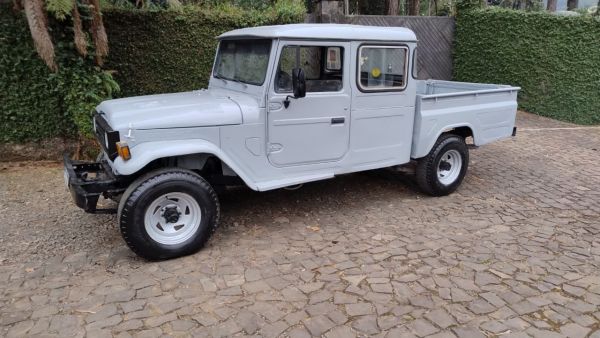 Toyota Bandeirante Brazilian Version Crew Cab 2 doors 1992 137299