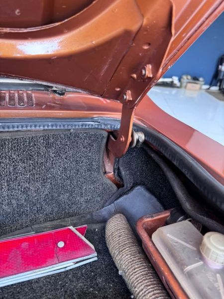 Volkswagen SP2 1976 137504
