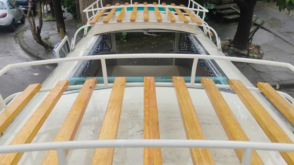 Volkswagen T1 Brasil 1995 137567