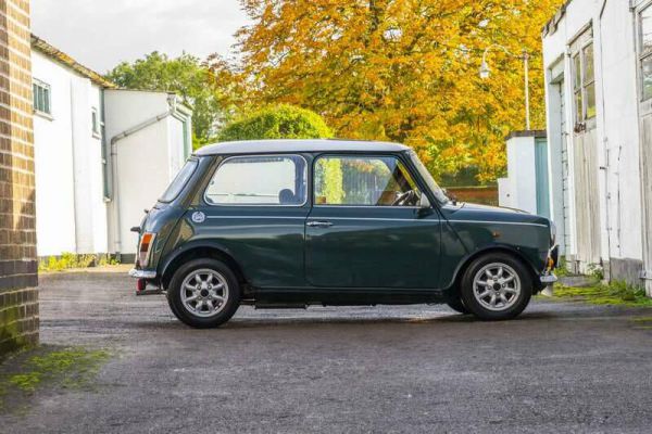 Rover Mini Cooper 1,3 1991 66853