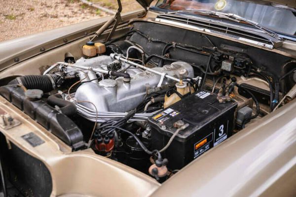 Mercedes-Benz 250 SE 1966 100078