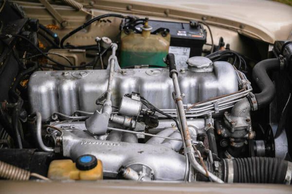 Mercedes-Benz 250 SE 1966 100089