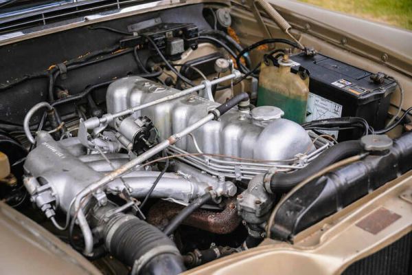 Mercedes-Benz 250 SE 1966 100090