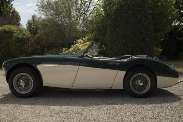 Austin-Healey 100/6 (BN4) 1956 117851