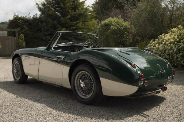 Austin-Healey 100/6 (BN4) 1956 117854