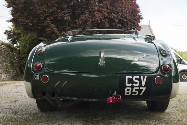 Austin-Healey 100/6 (BN4) 1956 117855