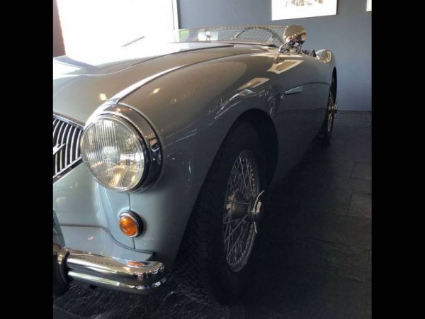 Austin-Healey 100/4 (BN1) 1954 3624