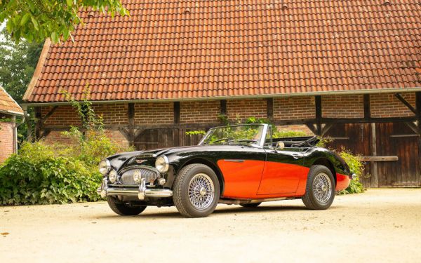 Austin-Healey 3000 Mk III (BJ8) 1965