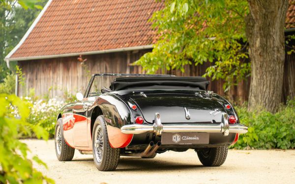 Austin-Healey 3000 Mk III (BJ8) 1965 99283