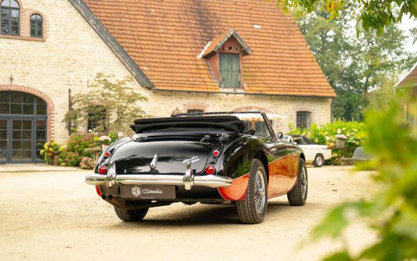 Austin-Healey 3000 Mk III (BJ8) 1965 99284
