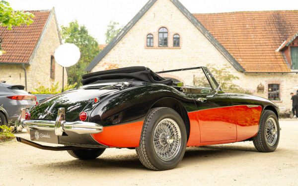 Austin-Healey 3000 Mk III (BJ8) 1965 99293