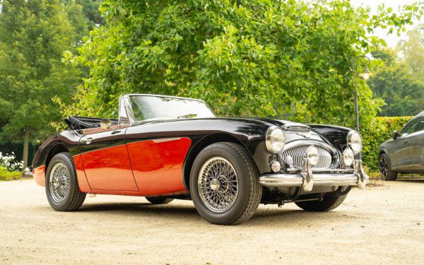 Austin-Healey 3000 Mk III (BJ8) 1965 99295