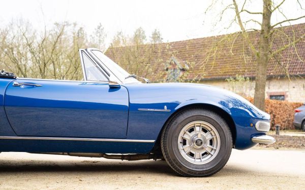 Fiat Dino Spider 1967 126601