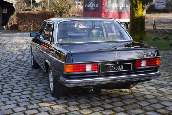 Mercedes-Benz 200 D 1981 130496