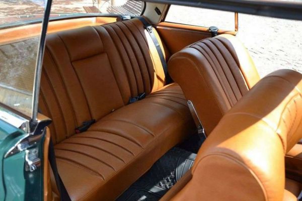 Mercedes-Benz 250 SE 1966 15019