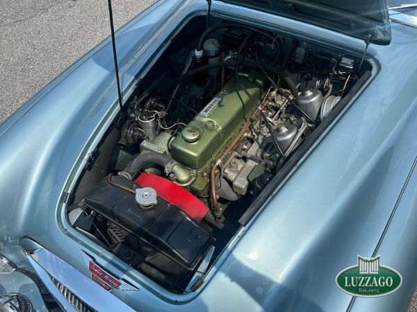 Austin-Healey 3000 Mk III (BJ8) 1965 132565