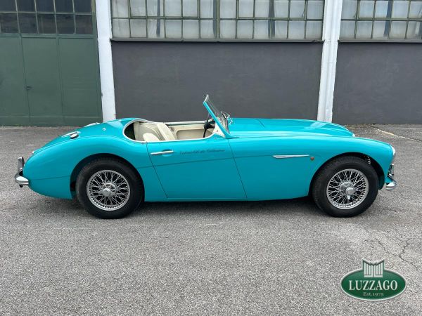 Austin-Healey 100/6 (BN6) 1957 133059