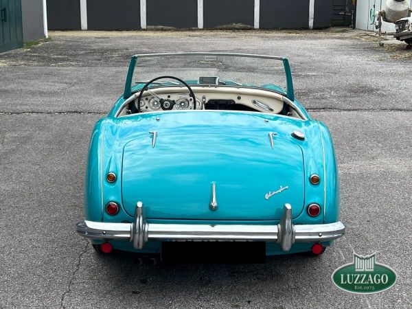 Austin-Healey 100/6 (BN6) 1957 133061