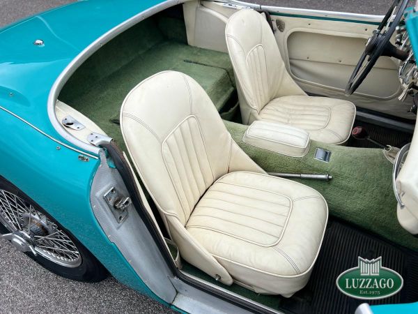 Austin-Healey 100/6 (BN6) 1957 133066