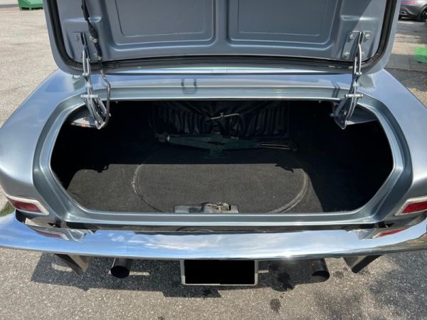 Studebaker Avanti 1965 133804