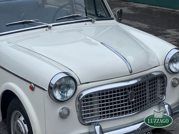 Fiat 1100-103 G Special 1962 68573
