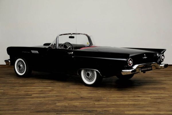 Ford Thunderbird 1957 123048