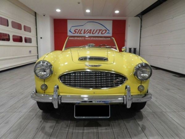 Austin-Healey 3000 Mk I (BN7) 1960