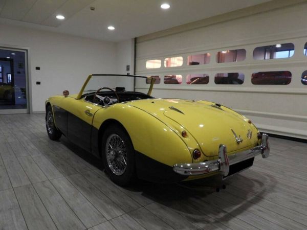 Austin-Healey 3000 Mk I (BN7) 1960 119015