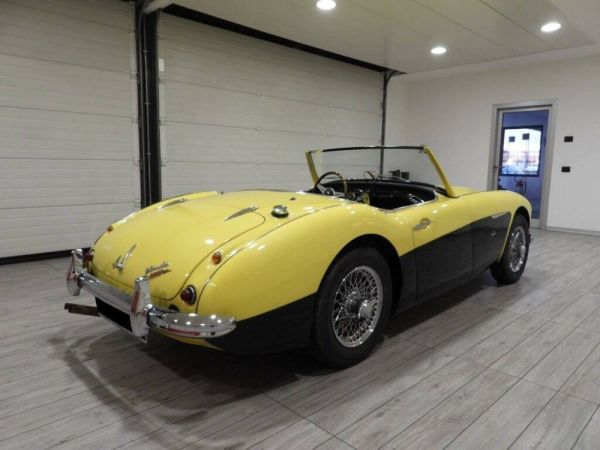 Austin-Healey 3000 Mk I (BN7) 1960 119016