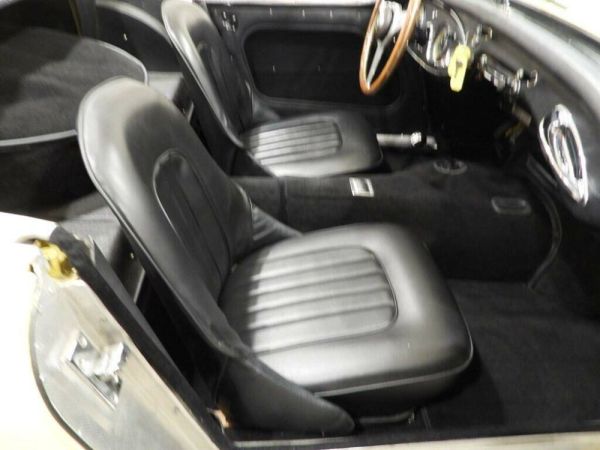 Austin-Healey 3000 Mk I (BN7) 1960 119020