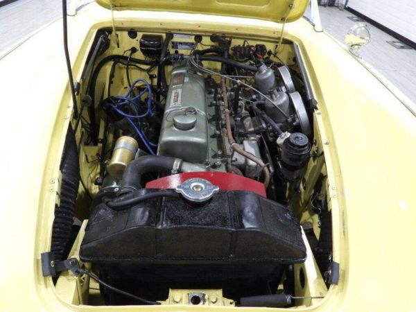 Austin-Healey 3000 Mk I (BN7) 1960 119021