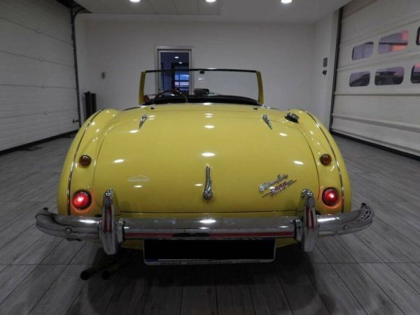 Austin-Healey 3000 Mk I (BN7) 1960 119023