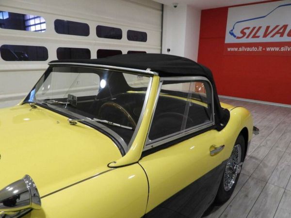 Austin-Healey 3000 Mk I (BN7) 1960 119024