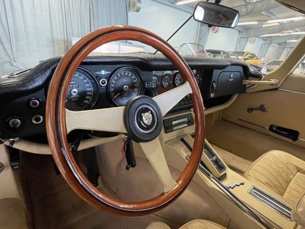 Jaguar E-Type V12 1973 123976