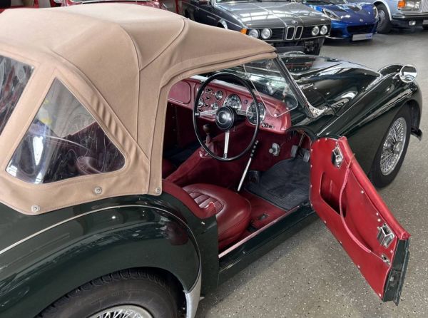 Triumph TR 2 1955 131866