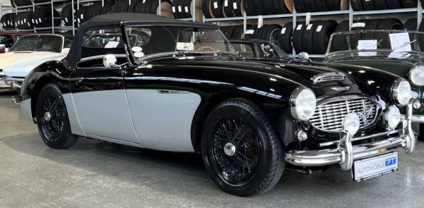 Austin-Healey 3000 Mk I (BN7) 1959 131883