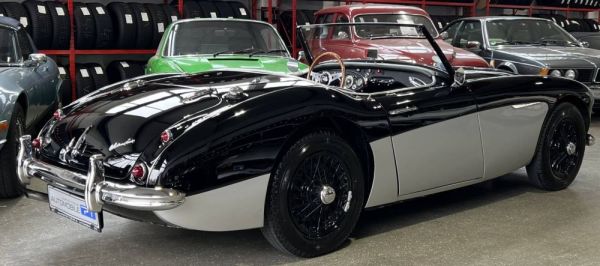 Austin-Healey 3000 Mk I (BN7) 1959 131884