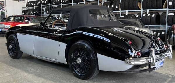 Austin-Healey 3000 Mk I (BN7) 1959 131887