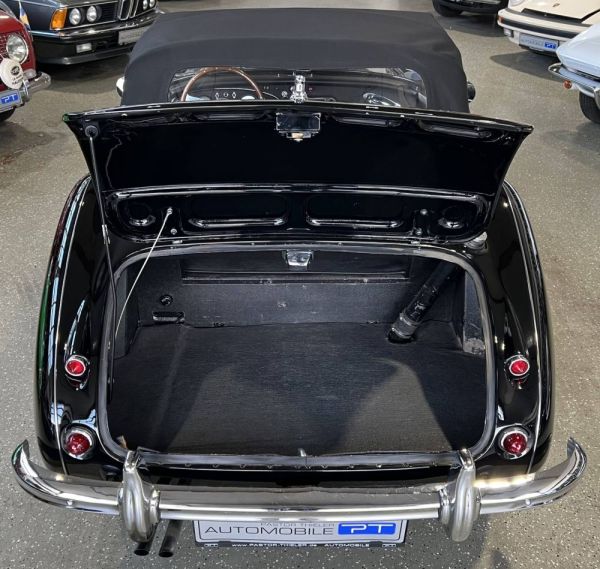 Austin-Healey 3000 Mk I (BN7) 1959 131888