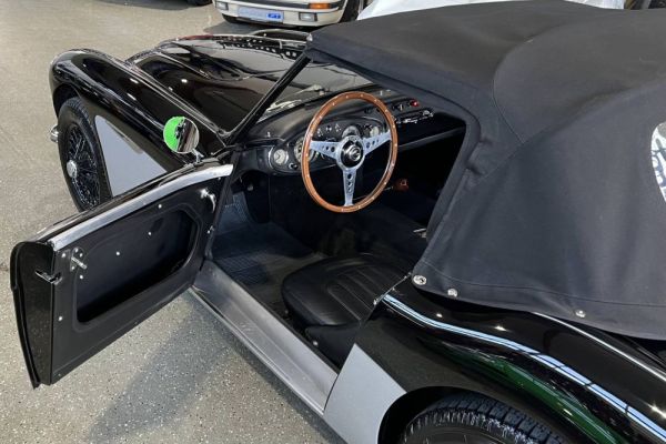 Austin-Healey 3000 Mk I (BN7) 1959 131891