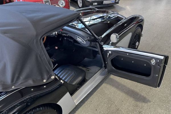 Austin-Healey 3000 Mk I (BN7) 1959 131894