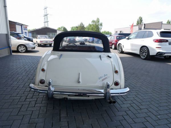 Austin-Healey 3000 Mk III (BJ8) 1966 41975