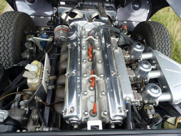 Jaguar E-Type 4.2 1967 49892