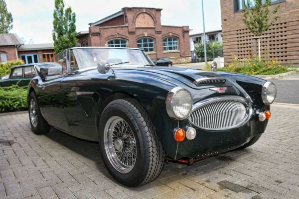 Austin-Healey 3000 Mk III (BJ8) 1967 50595