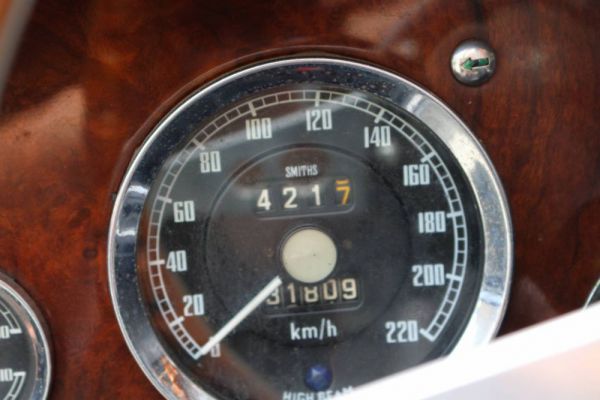 Austin-Healey 3000 Mk III (BJ8) 1967 50604