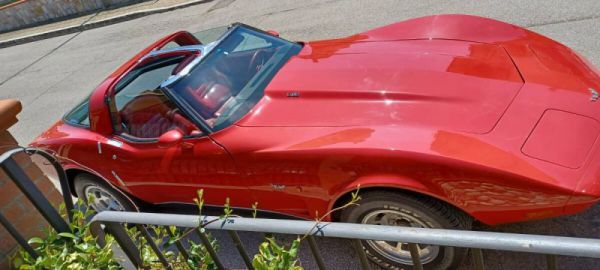 Chevrolet Corvette 25th Anniversary 1978 97278