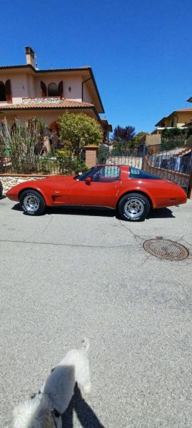 Chevrolet Corvette 25th Anniversary 1978 97280